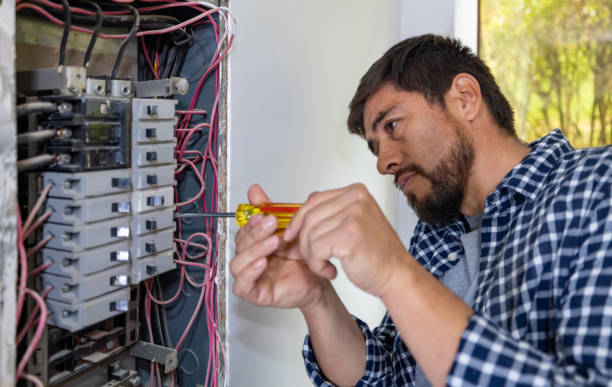 Best Electric Panel Repair  in , NV